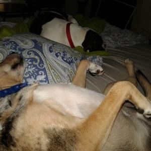 Meet your Posher, Justin